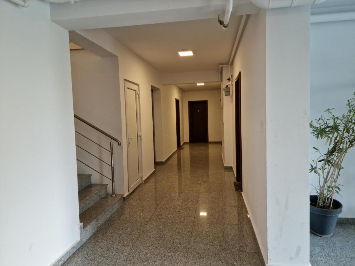 Amazing Apartament With Garden Bucharest Airport Self Check-In!! オトペニ エクステリア 写真